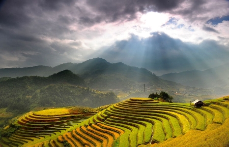 Ngắm mùa vàng Tây Bắc trong nắng thu